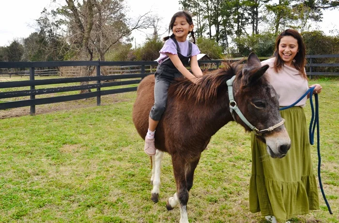 Primera visita a un rancho en familia: actividades para empezar con buen pie