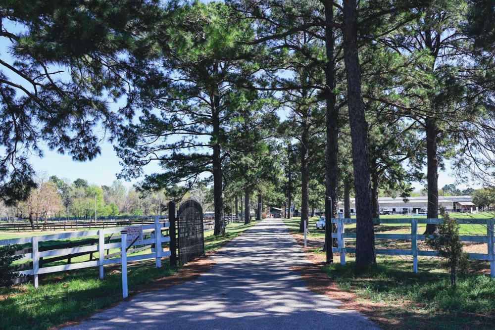 First visit to a family ranch: activities to start on the right foot