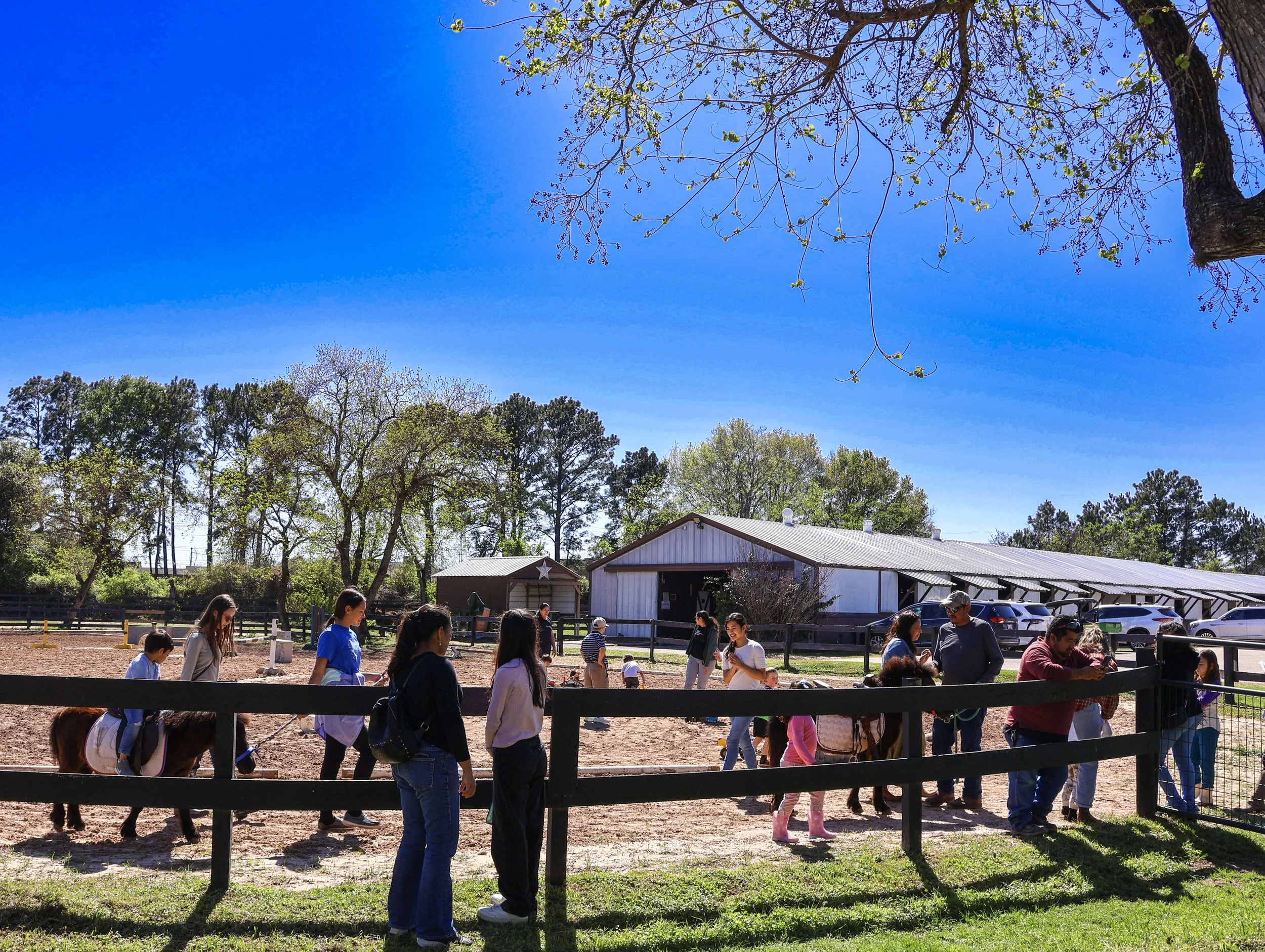 Primera visita a un rancho en familia: actividades para empezar con buen pie