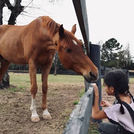 Primera visita a un rancho en familia: actividades para empezar con buen pie
