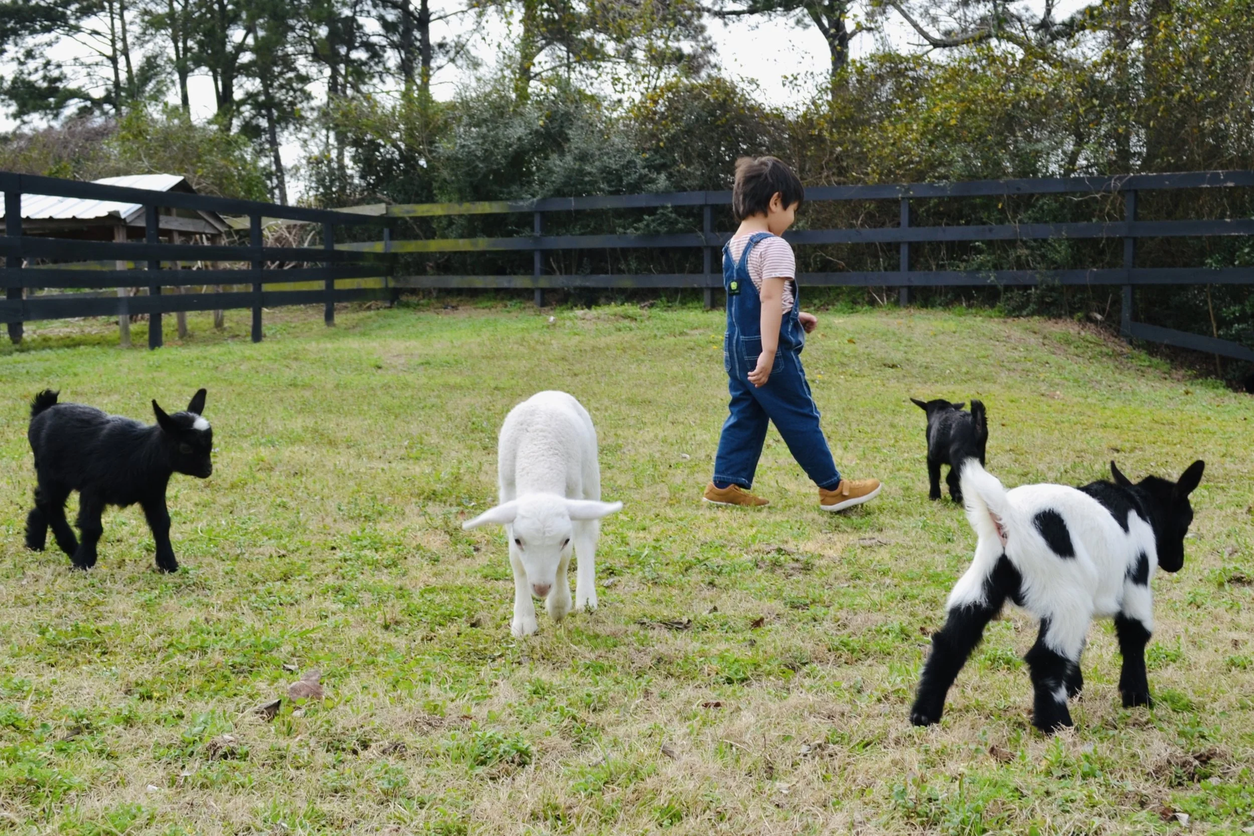 Family benefits of sharing on a ranch like Cantona Ranch